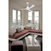 Leds-C4 MOGAN (30-4356-CF-CF)
