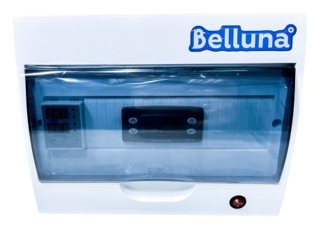 Belluna IP-6