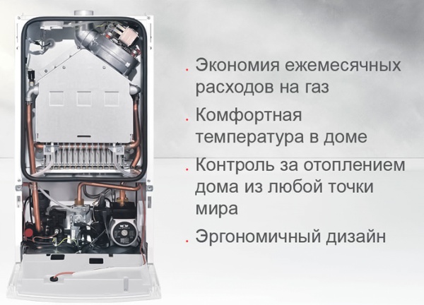 Wolf CGG-3-24 Wolf CGG-3-24