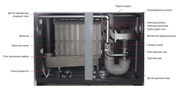 Kentatsu maXimpect-11