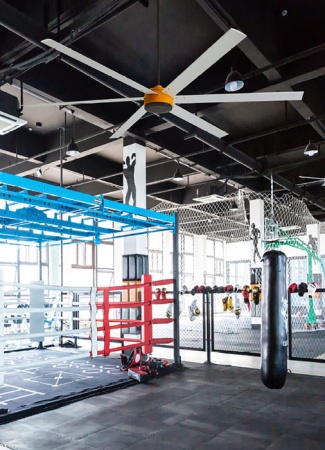 Ветромастер 308