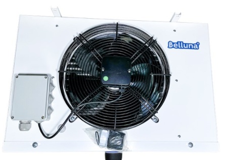 Belluna U207 Frost