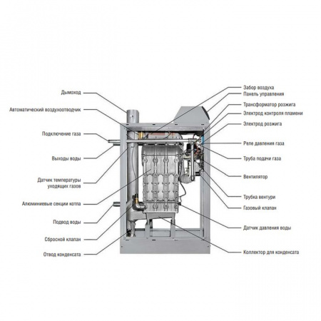 Kentatsu impect-5