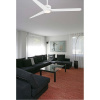 Faro Nu L (33722)