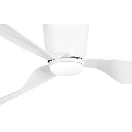 Faro Pemba (33471N-3)