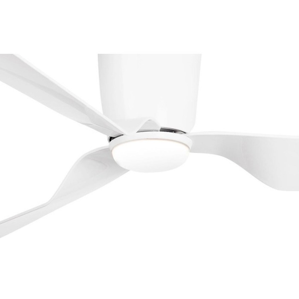 Faro Pemba (33471N-3)