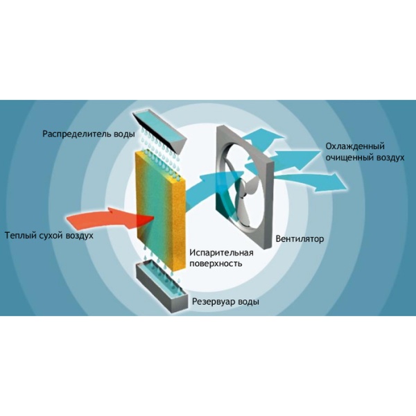 Symphony Siesta 70XL Symphony Siesta 70XL