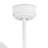 Faro Nassau White (33487)