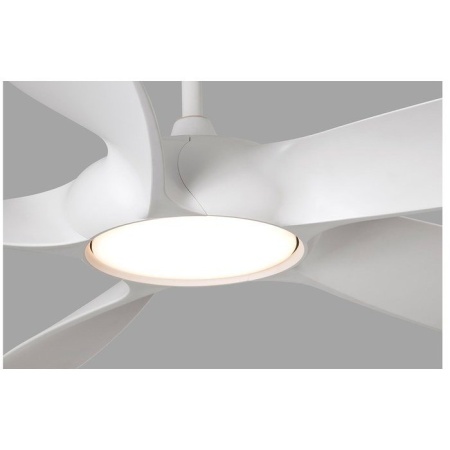 Faro Cocos White (33548)