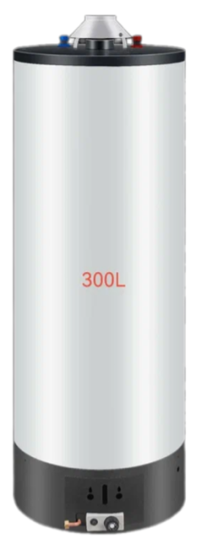 Favorit FGS-300L GSWH