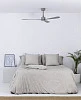 Faro AMELIA Grey