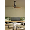 Faro Eterfan Matt Wood (32004)