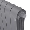 Royal Thermo Infinity 300 Silver Satin VR80 - 12 секц.