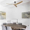 Faro MOREA CLEAR BROWN (33519)
