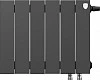 Royal Thermo PianoForte 300 /Noir Sable - 12 секц. VDR