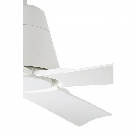 Faro Typhoon (33480)