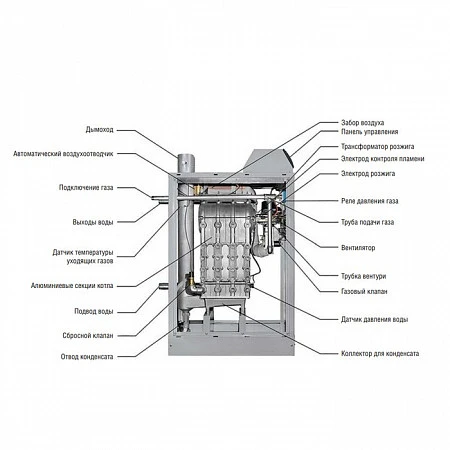 Kentatsu impect-4