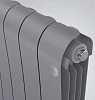 Royal Thermo Infinity 300 Silver Satin - 6 секц.