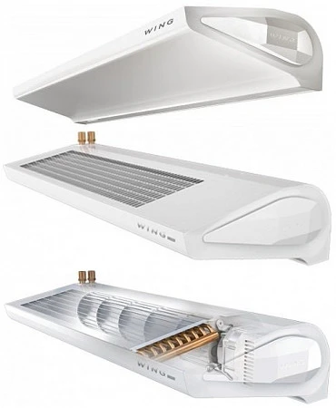 WING С100 (EC)