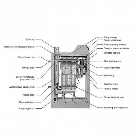 Kentatsu impect-5