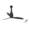 Faro Eterfan Plain Black (32006)