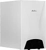 ECA Felis Slave Boiler 125 KW