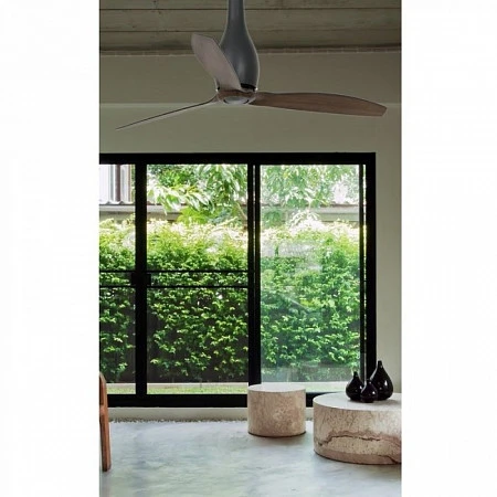 Faro Eterfan Matt Wood (32004)